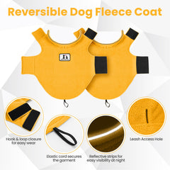 DENTRUN dog winter coat with reflective trim along the collar edge.