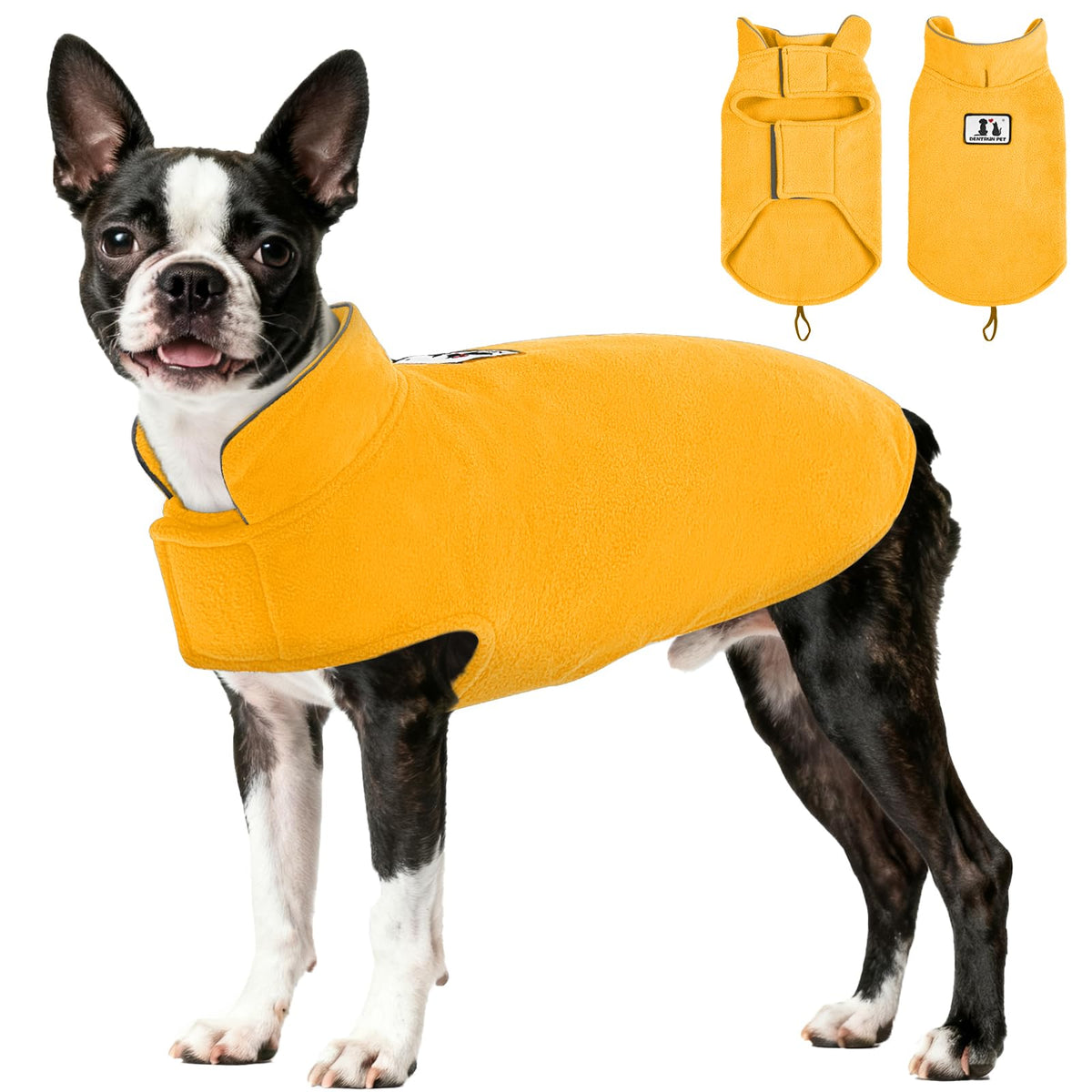 DENTRUN dog winter coat shown from the front.