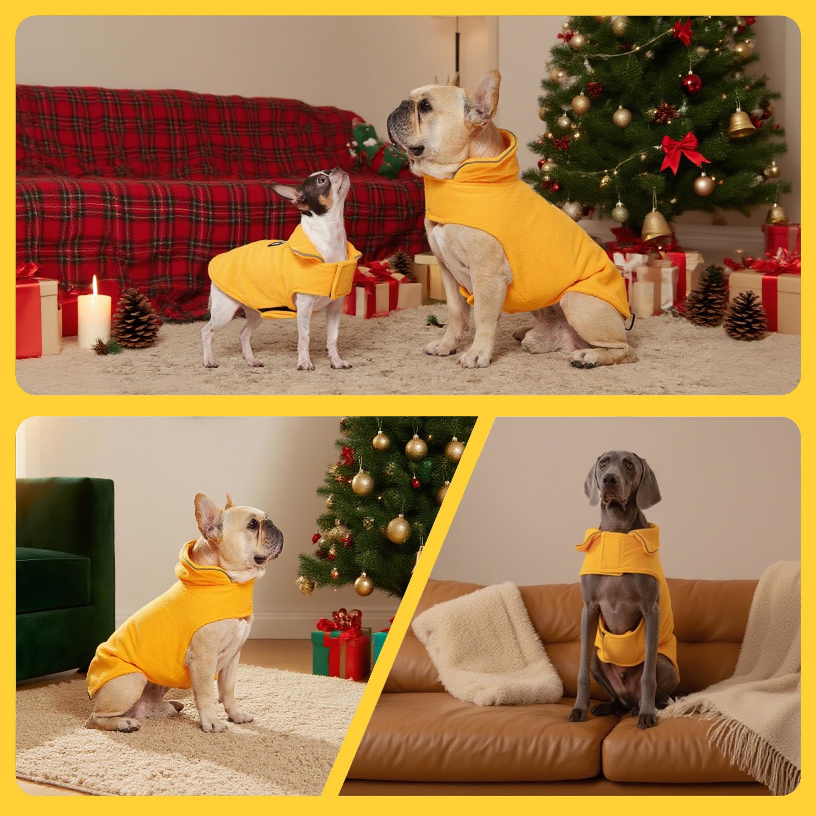 DENTRUN dog winter coat shown being worn outdoors.