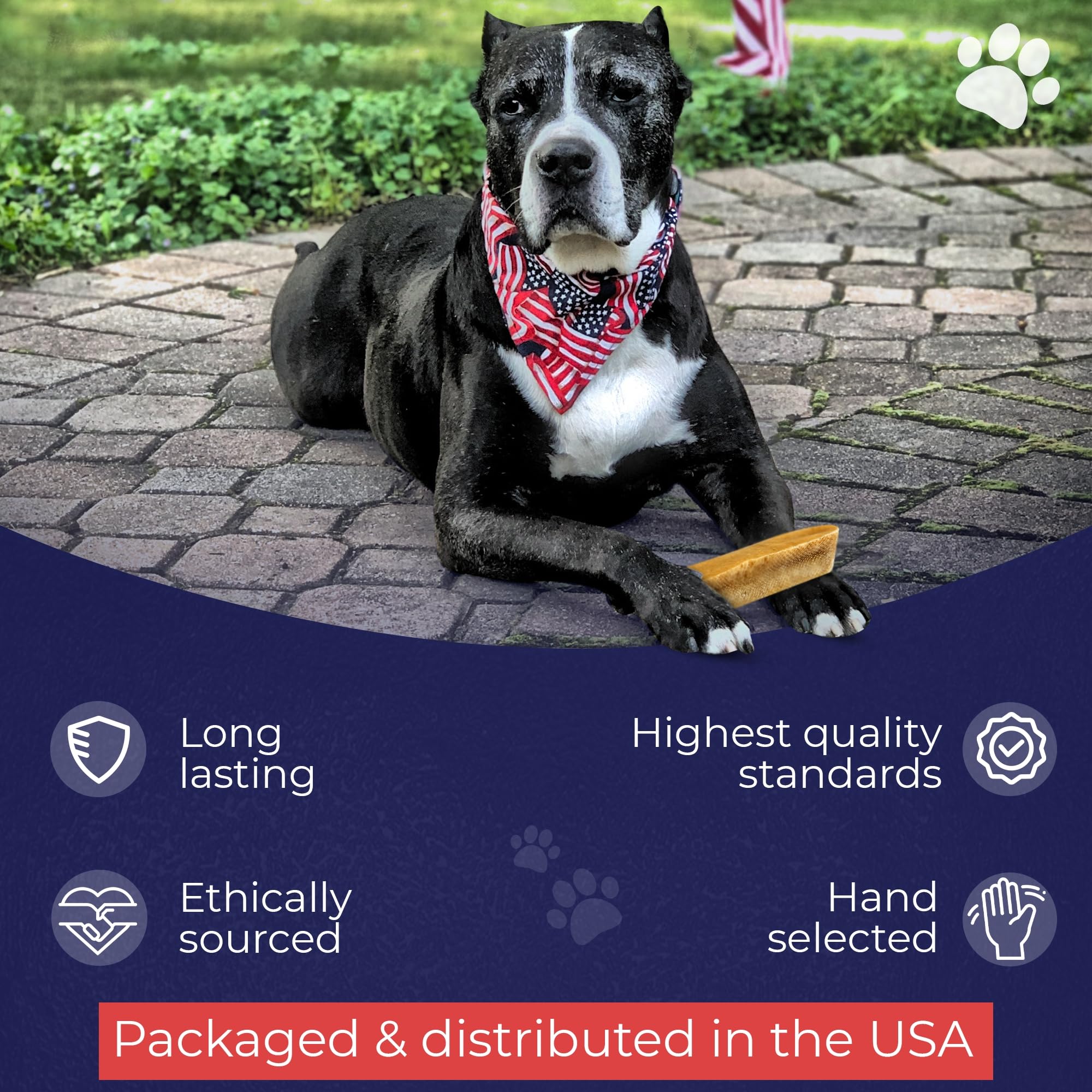 Devil Dog Pet Co Himalayan Yak Chew ingredient details for its four-ingredient recipe.