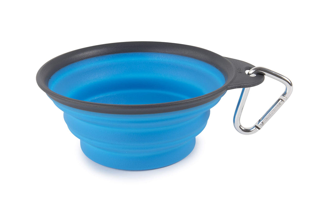 Dexas collapsible travel cup holding water for a dog to drink.