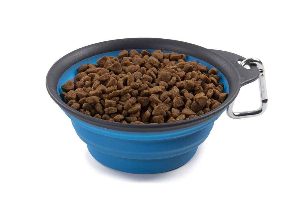 Dexas collapsible travel cup shown open from the front in Pro Blue.
