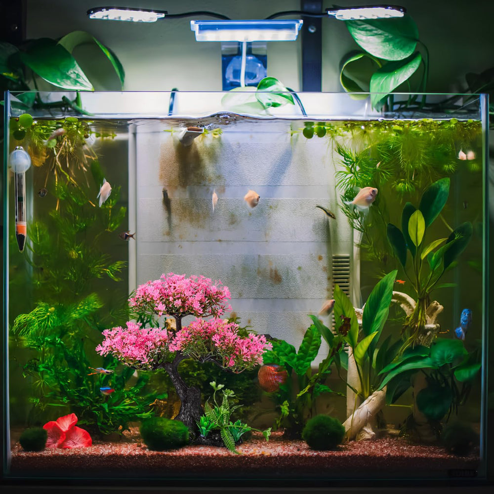Didiseaon aquarium decor displayed inside an aquarium.