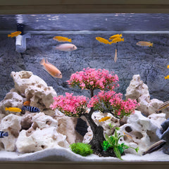 Didiseaon aquarium decor tree and matching grass shown together.