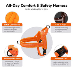 Didog dog harness detail showing its single buckle.