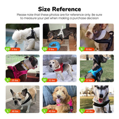 Didog dog harness detail showing reflective lines on the straps.