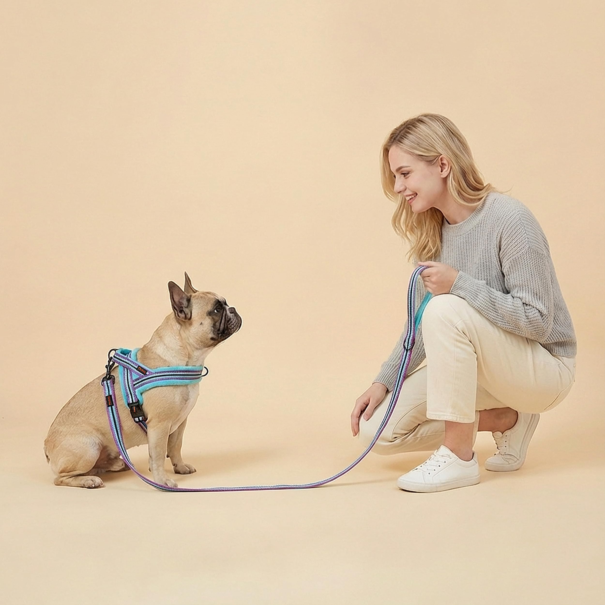 Didog dog leash detail showing the fleece-lined handle.