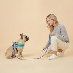 Didog dog leash detail showing the fleece-lined handle.