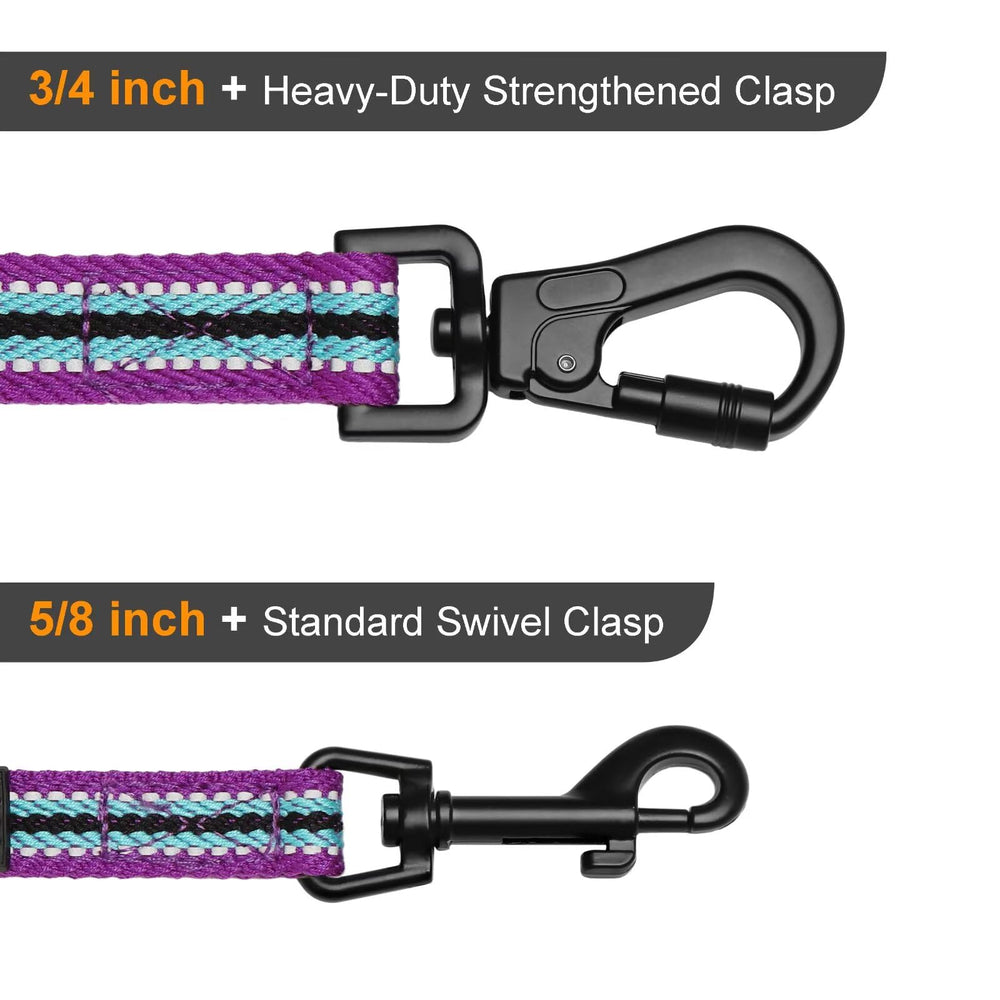 Didog dog leash handle showing its built-in D-ring.