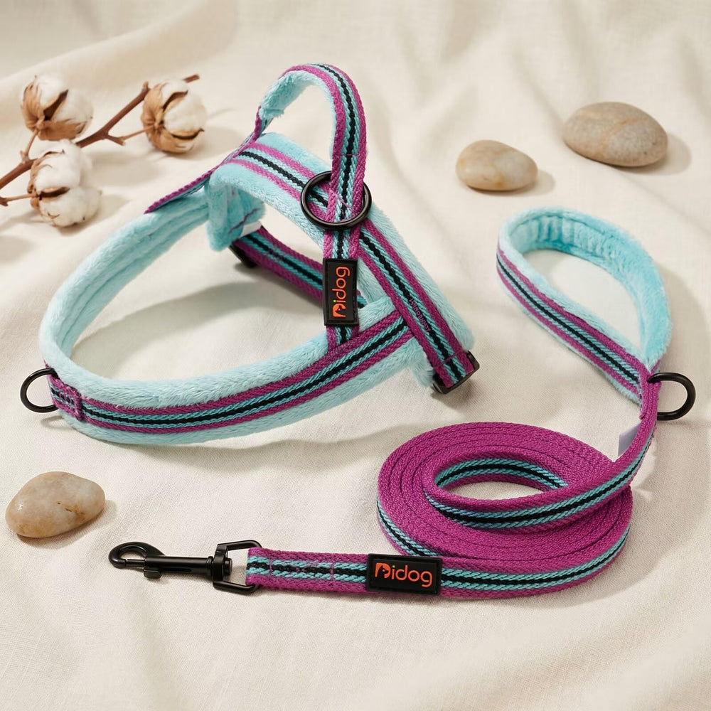 Didog dog leash shown from an alternate angle in Mixed-Blue.