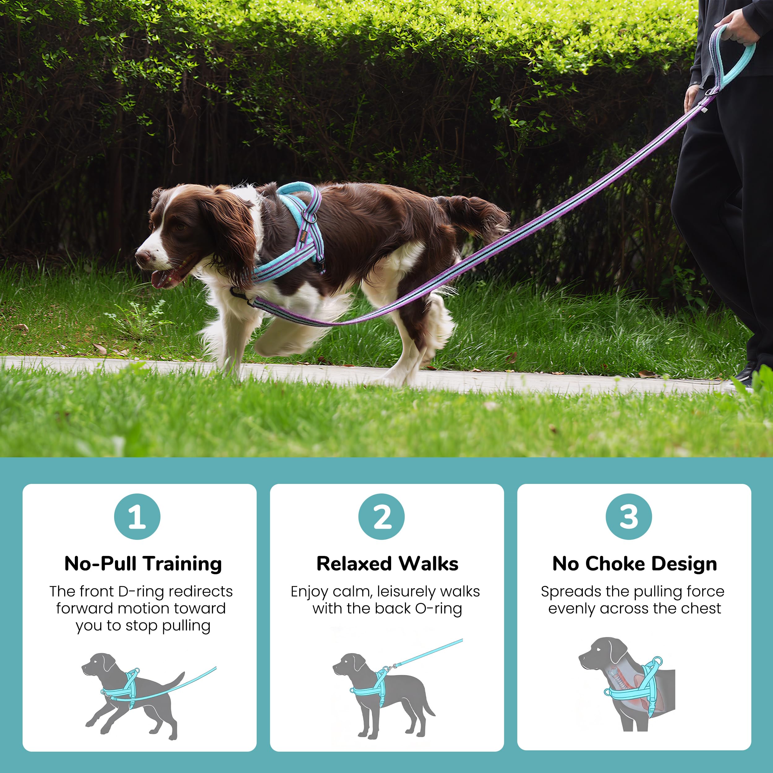 Didog No Pull Dog Harness detail showing the soft fleece padding.