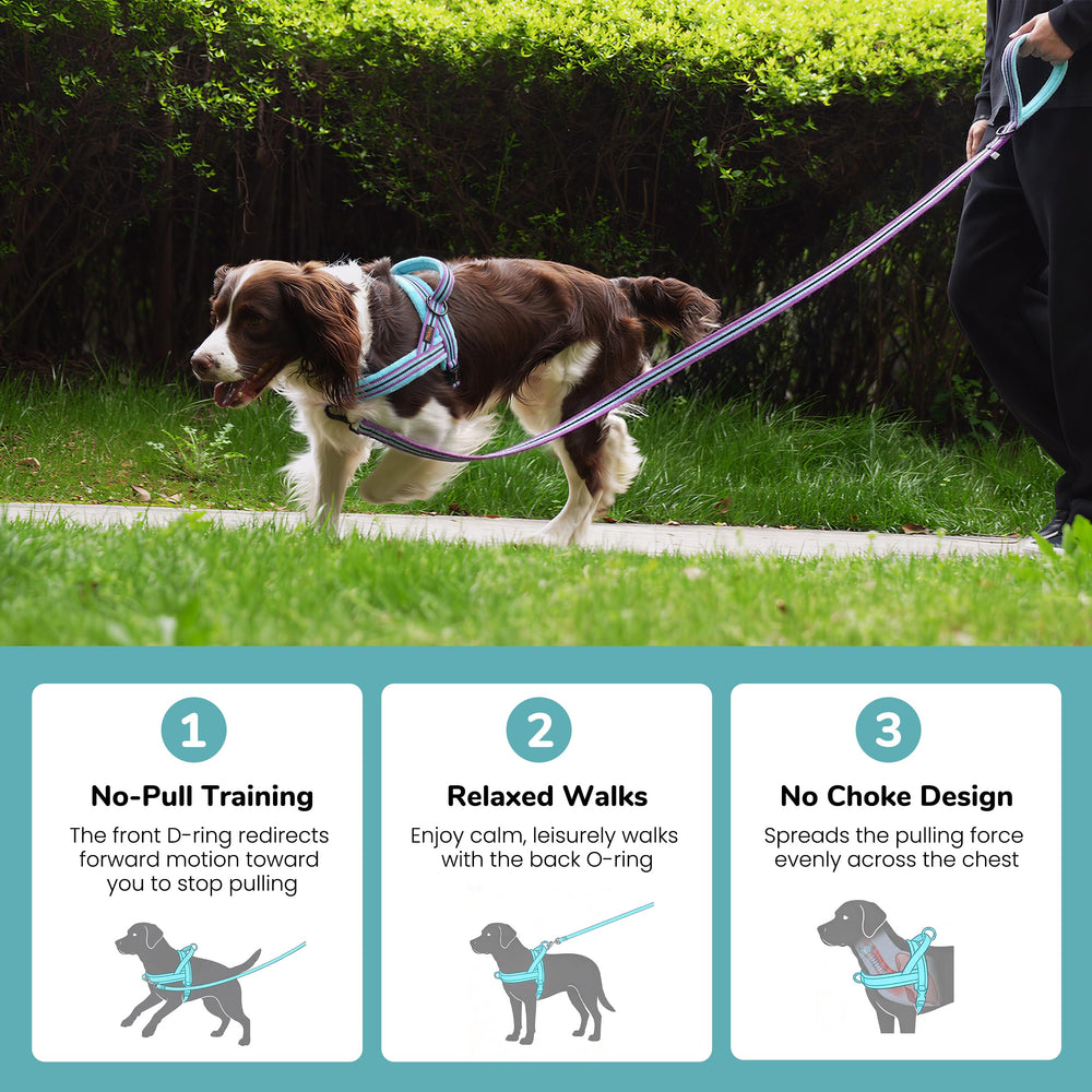 Didog No Pull Dog Harness detail showing the soft fleece padding.