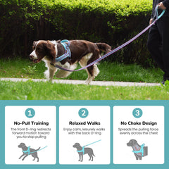 Didog No Pull Dog Harness detail showing the soft fleece padding.