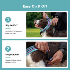 Didog No Pull Dog Harness close-up showing the welded front D-ring.