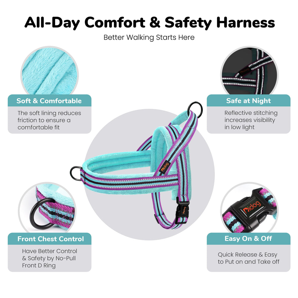Didog No Pull Dog Harness close-up of its single nylon buckle.