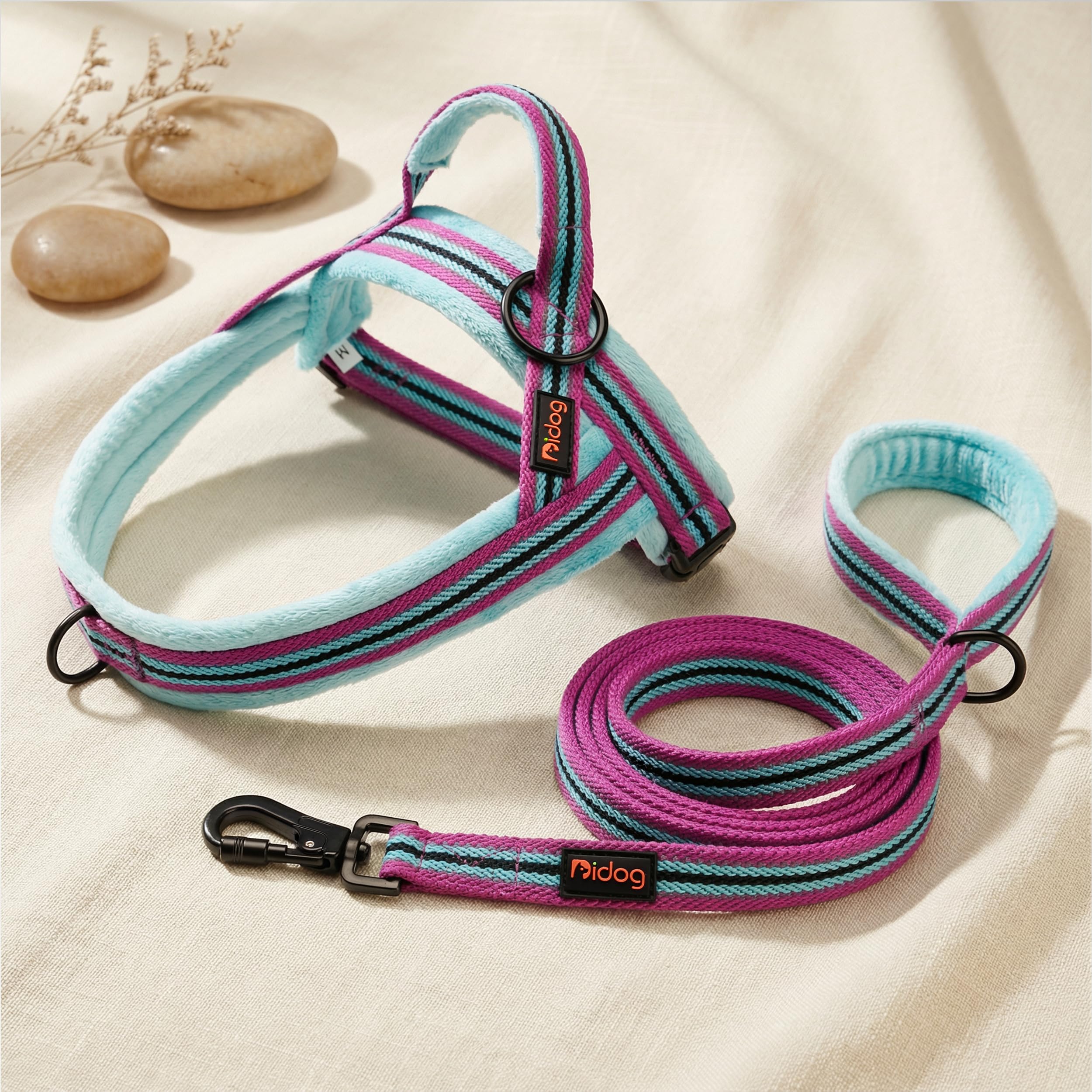 Didog No Pull Dog Harness close-up showing its nylon strap construction.