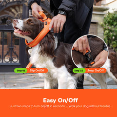 Didog small dog harness showing the chest D-ring and back O-ring.