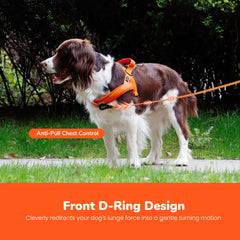 Didog small dog harness showing reflective strips for low-light visibility.