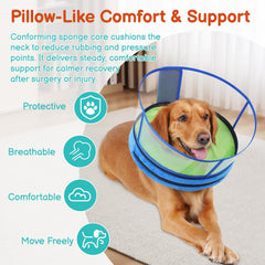 Didopet dog cone shown with its transparent protective shield attached.