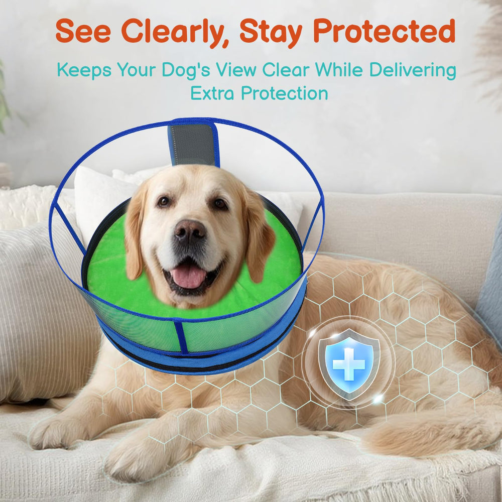 Didopet dog cone worn by a dog as a cushioned recovery collar.