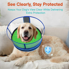 Didopet dog cone worn by a dog as a cushioned recovery collar.