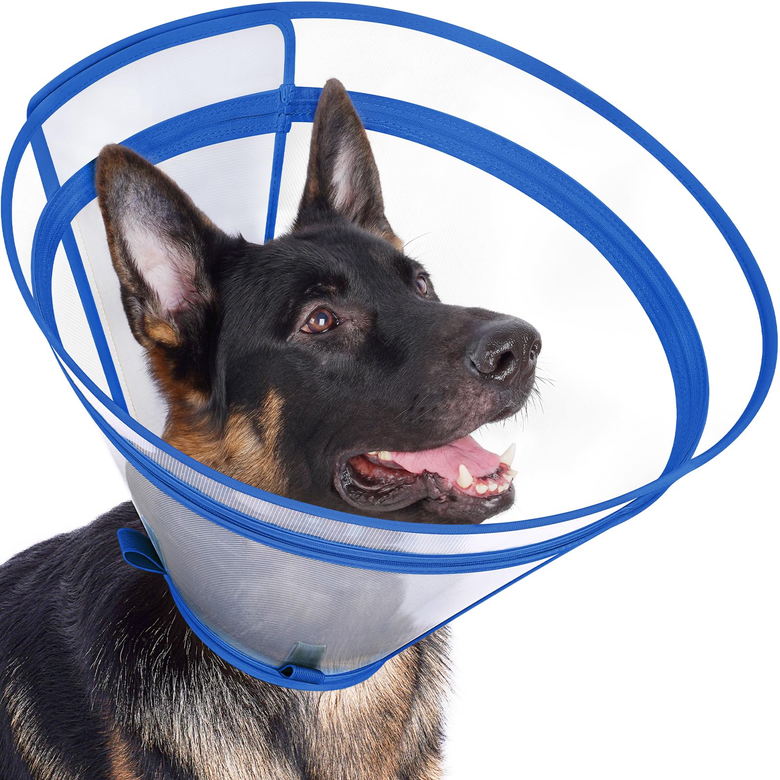 Didopet dog recovery collar shown from the front in blue XL.