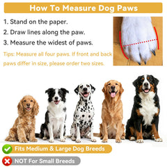 Dimicoo dog boots shown as a set of four booties.