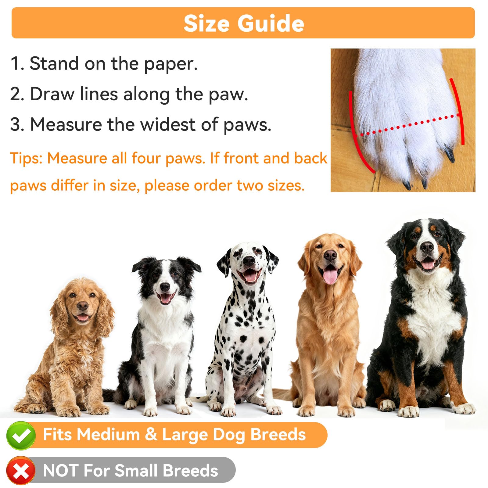 Dimicoo dog boots shown in an outdoor-use setting.