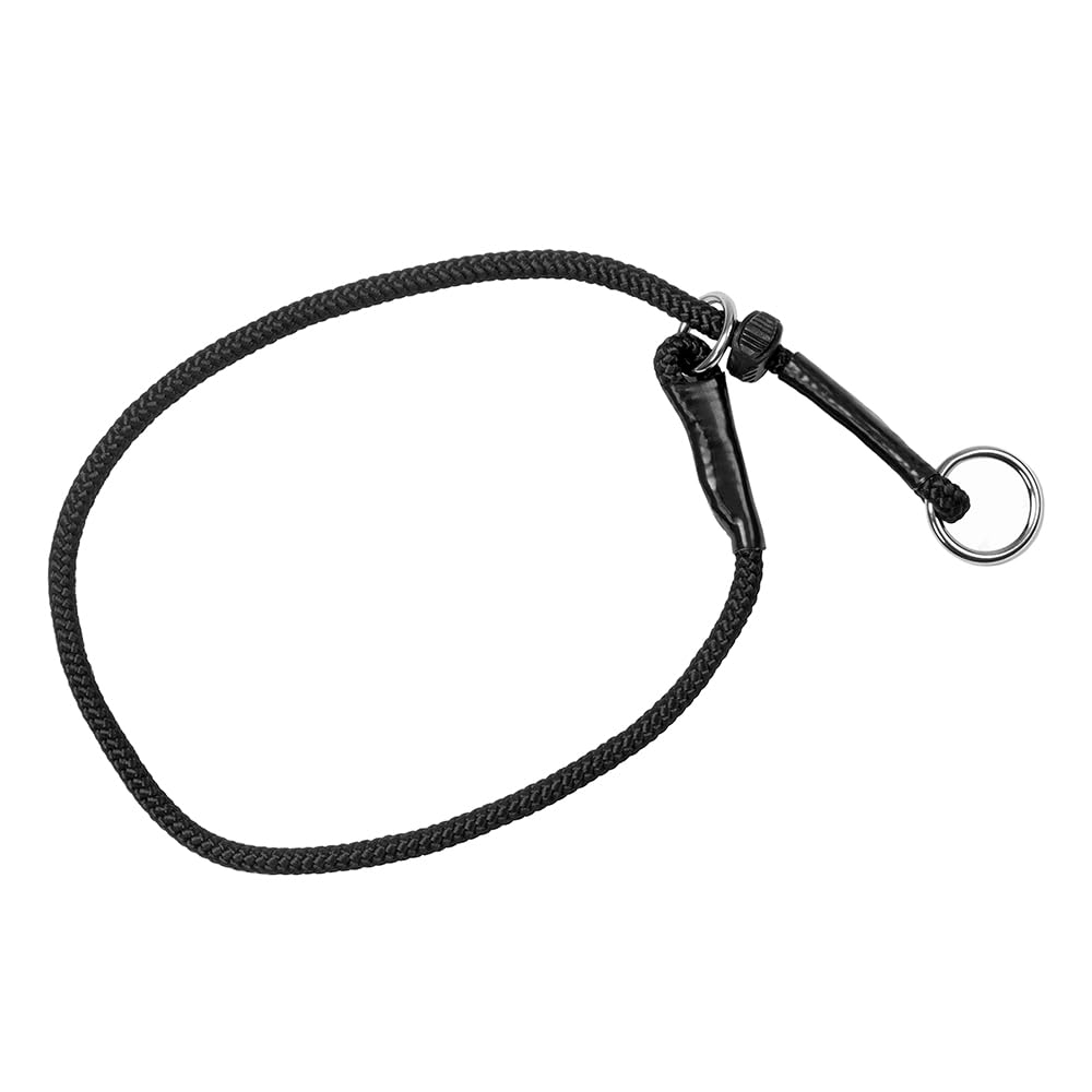 Dingo Gear dog slip collar shown from the front.