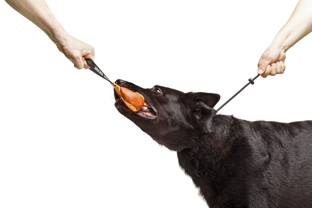 Dingo Gear dog slip collar shown in a full profile view.