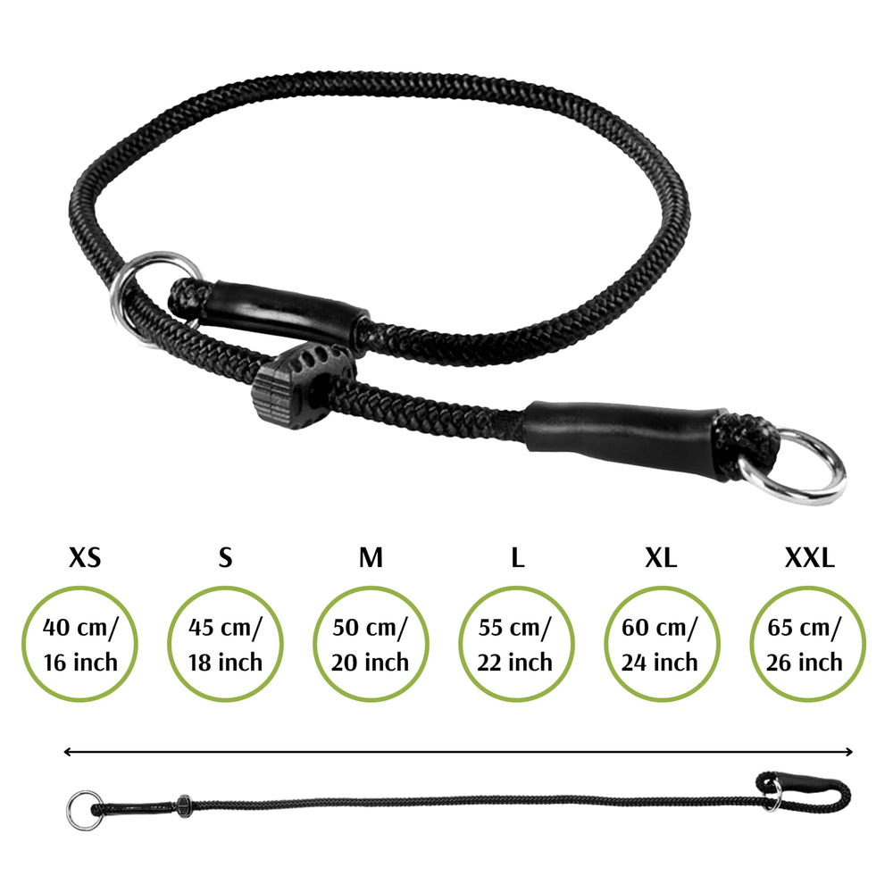 Dingo Gear dog slip collar shown during an obedience training session.