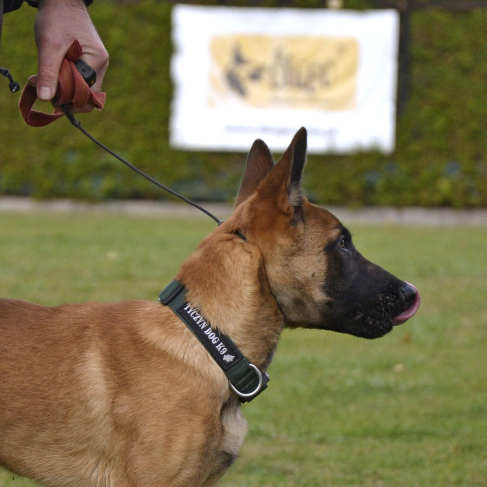 Dingo Gear dog slip collar arranged to show its slip design.