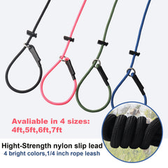 DISCPETSEC slip lead dog leash showing the spring-loaded adjustable stopper.