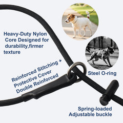 DISCPETSEC slip lead dog leash with its woven nylon rope in close-up.