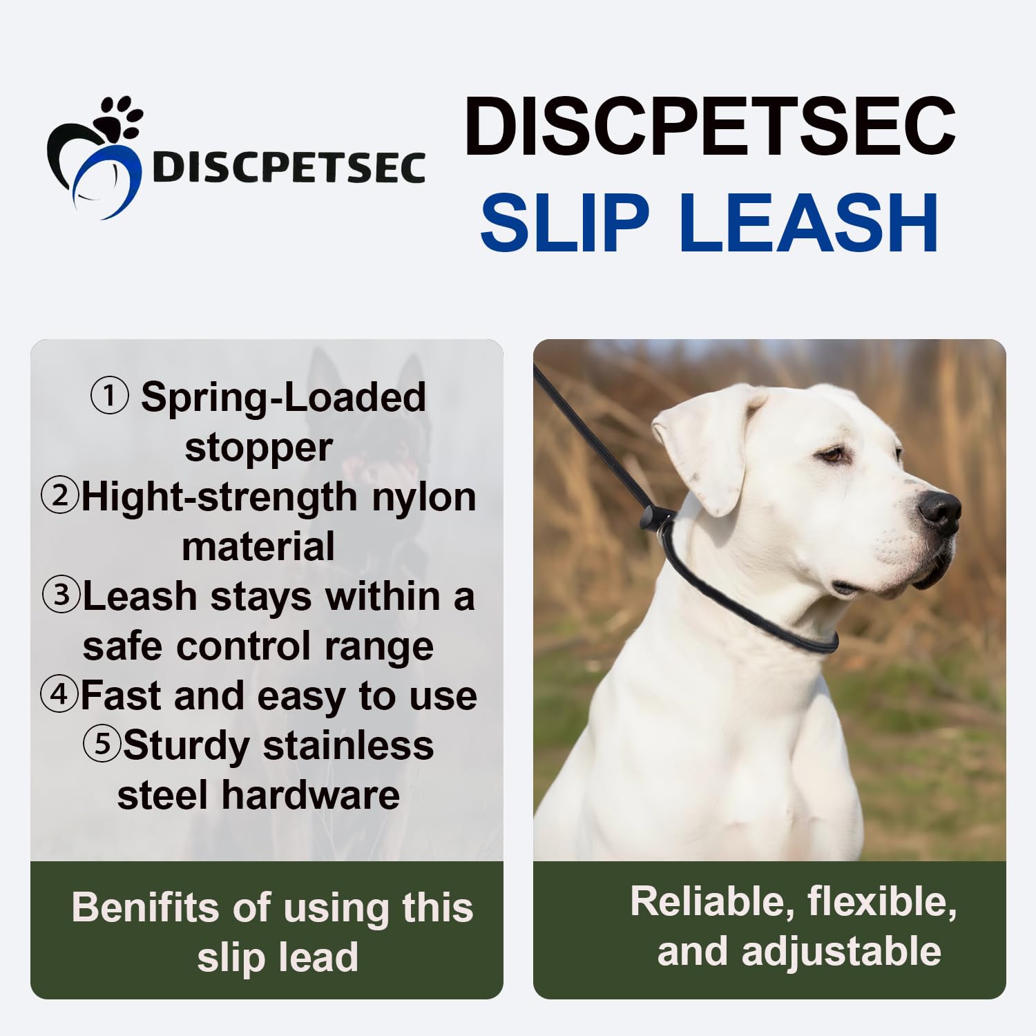 DISCPETSEC slip lead dog leash showing the loop that slips over a dog.