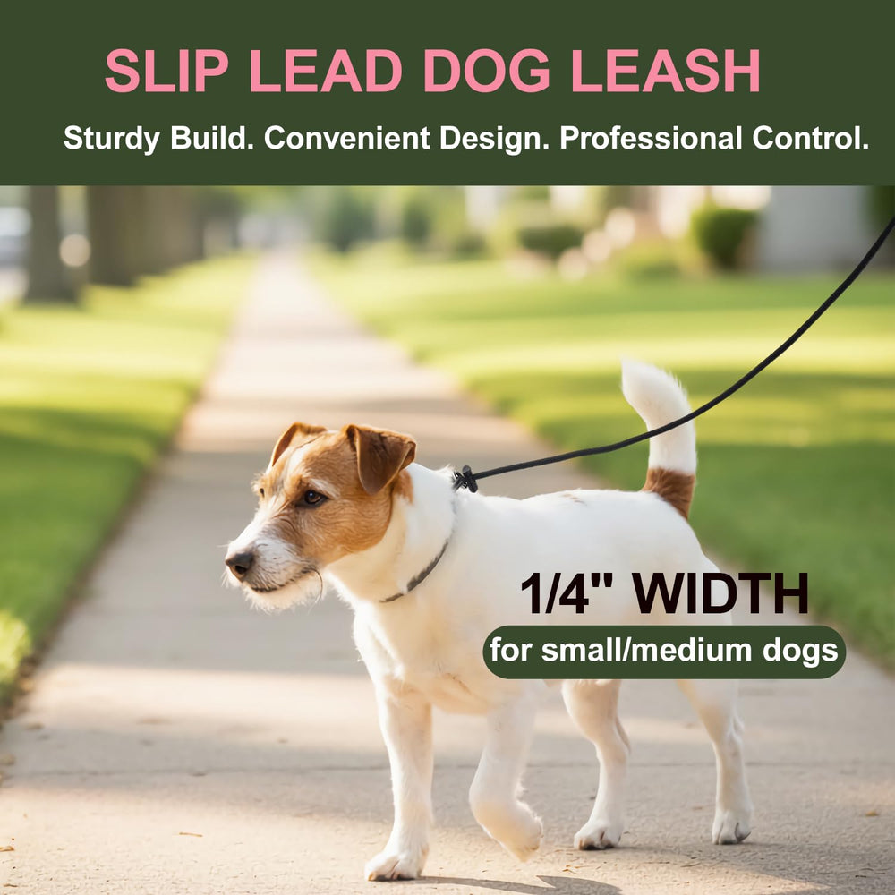 DISCPETSEC slip lead dog leash shown in use on a dog walk.