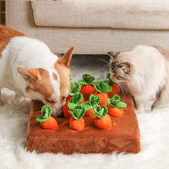 DIYGIFF carrot snuffle mat used for a dog food-search game.