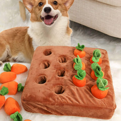 DIYGIFF carrot snuffle mat carrot toy ready for interactive tug play.