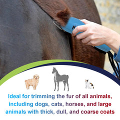 DODAER dog grooming blade shown as the single item in the set.