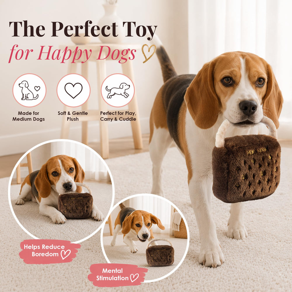 Dog Diggin Designs Chewy Vuiton dog toy showing appliqué flowers, logos and trim.