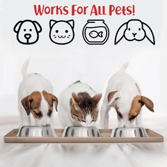DogBuddy Dog Food Mat beneath a pet bowl, showing its smooth surface.