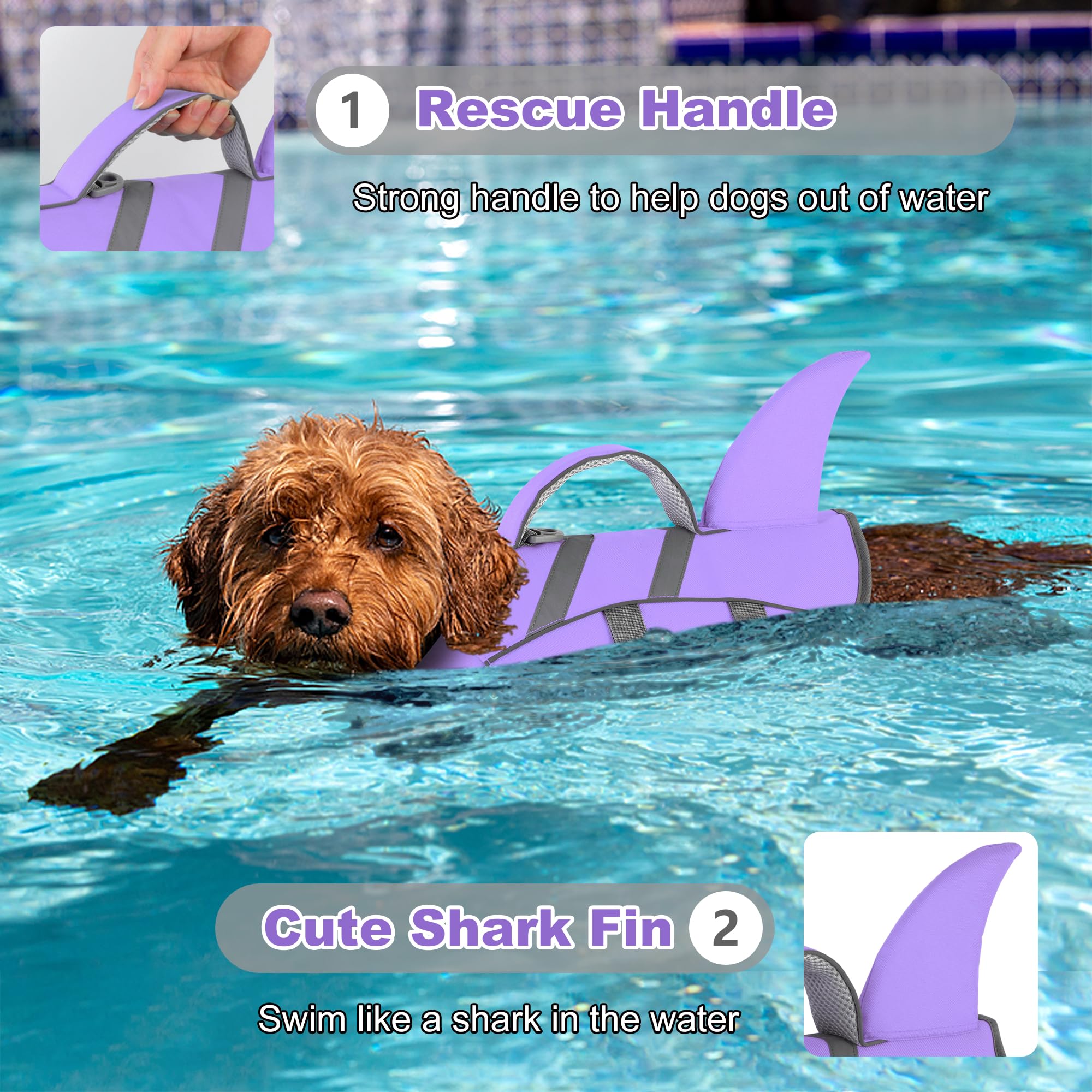 Dogcheer shark dog life jacket showing the chest and belly flotation panels.