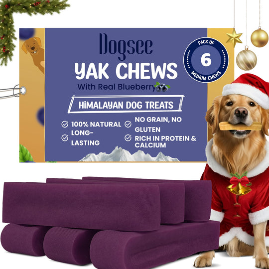 Dogsee blueberry yak cheese dog chews shown from the front.