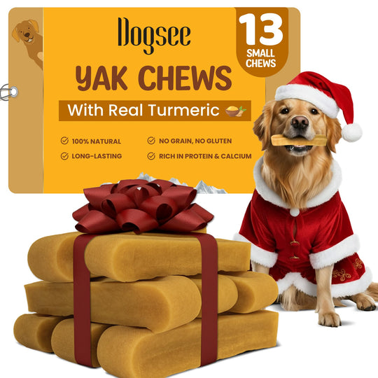 Dogsee Himalayan yak cheese chew shown from the front.