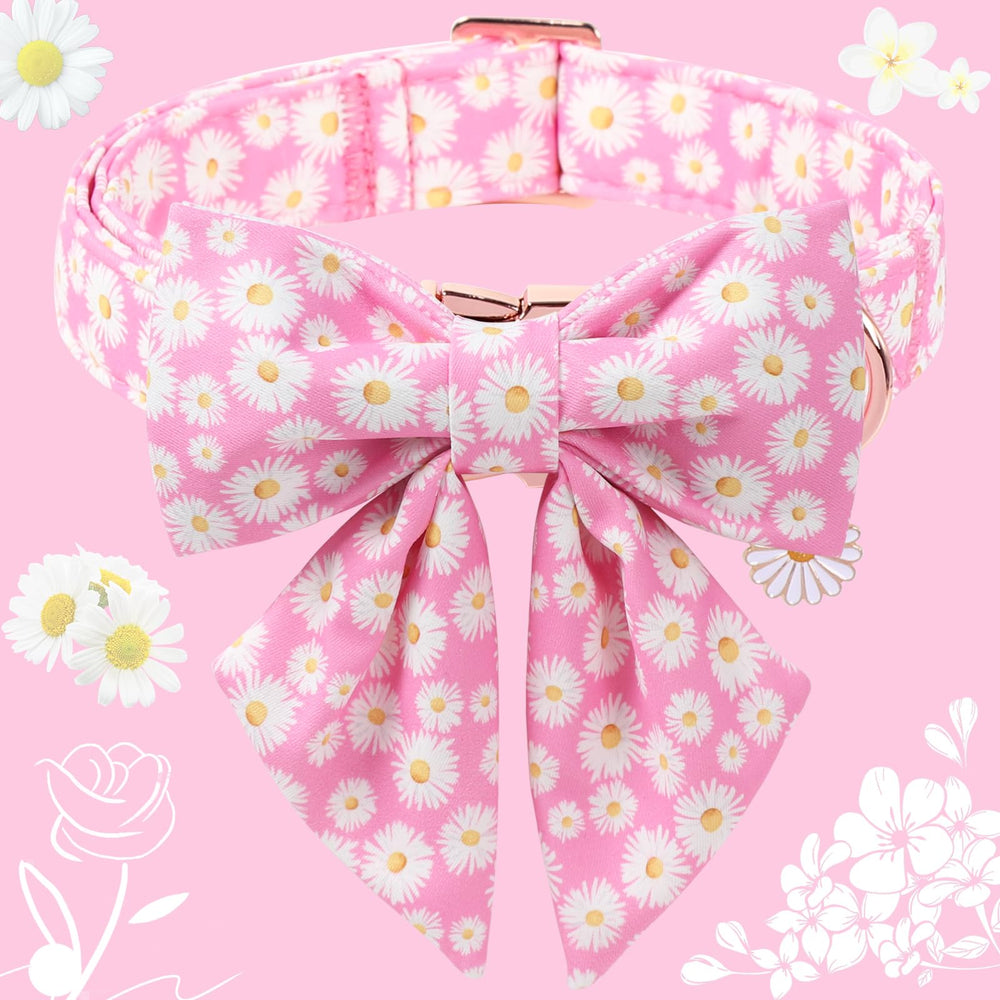 DOGWONG dog collar with a close view of the decorative flower bow.