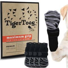 DOK TigerToes dog socks shown from the front.