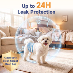 Dono male dog diapers with an adjustable fur-safe fastener detail.