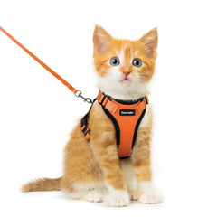 Dooradar cat harness detail showing adjustable neck and chest fit points.