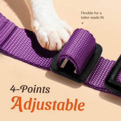 Dooradar cat harness with its adjustable neck snaps in close view.