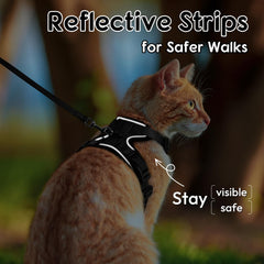 Dooradar cat harness showing the adjustable neck and chest snaps.